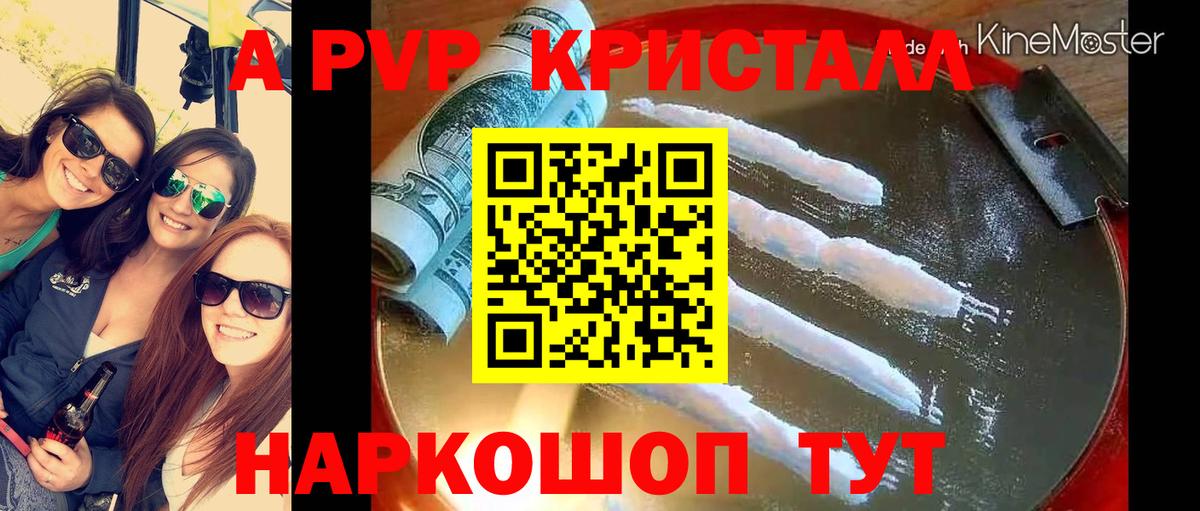 A PVP СК КРИС Губаха