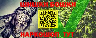 индика Лесосибирск