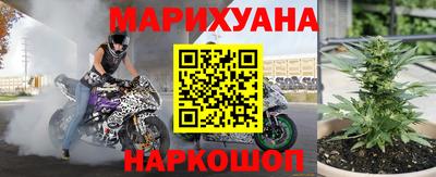 индика Лесосибирск