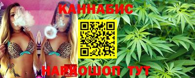индика Лесосибирск