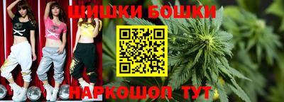 индика Лесосибирск